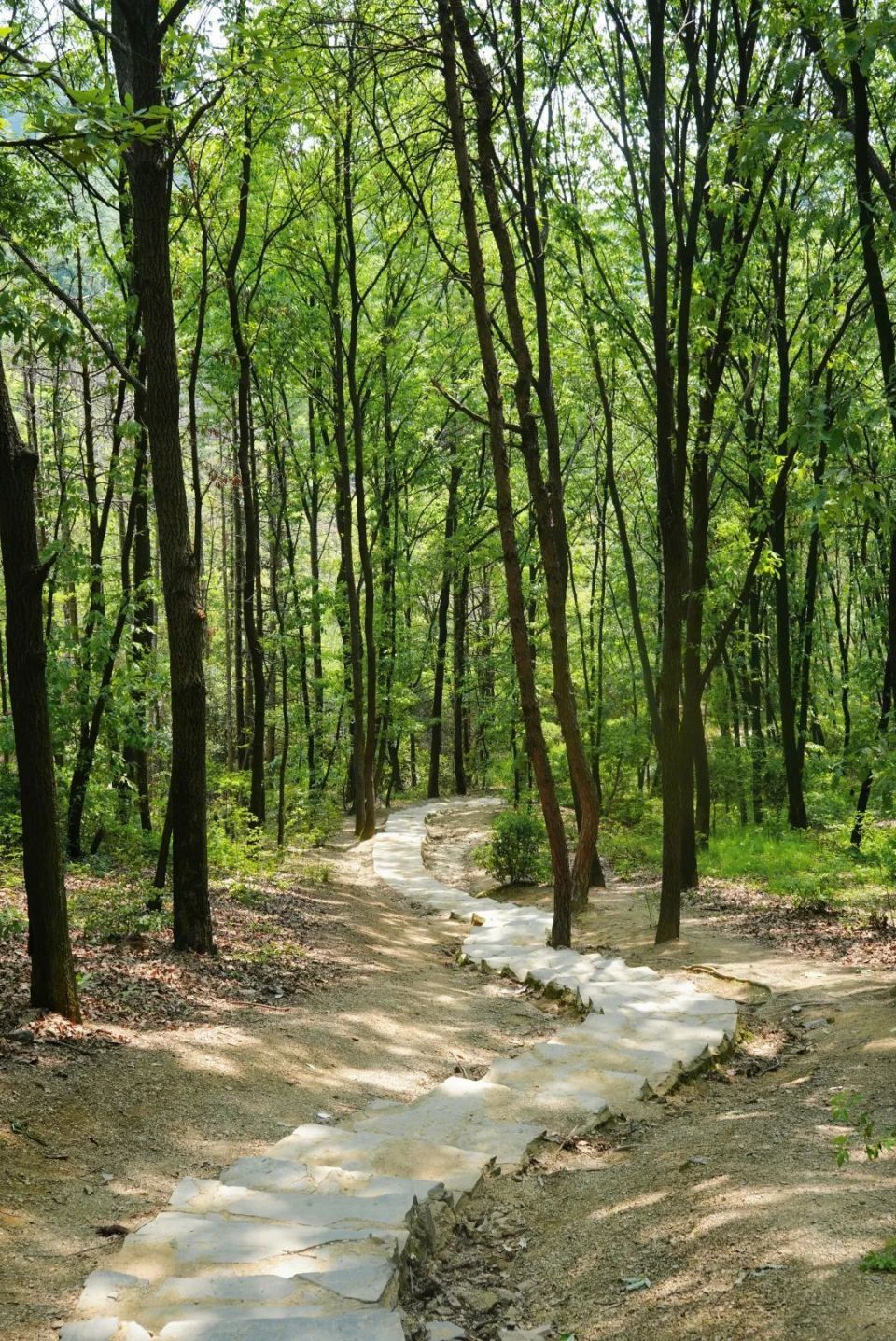 来蔡甸九真山,开启理想春日生活