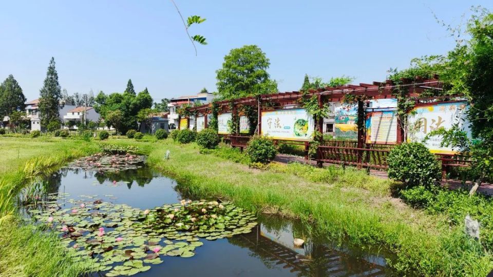 大悟金岭村风景区介绍图片