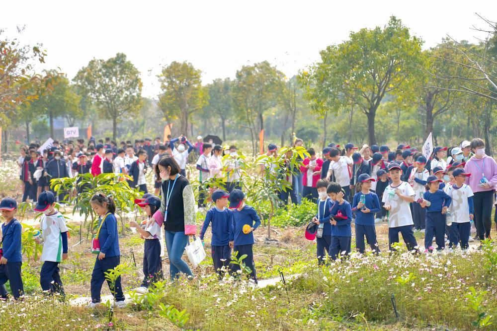 这都可以（广州南沙申请非遗）广州南沙传统文化 第2张