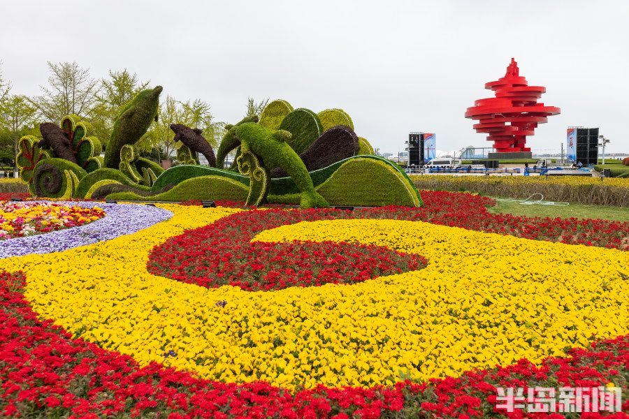 阳光鲜花风景图片大全图片