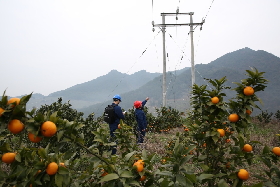 首页全新改版升级啦