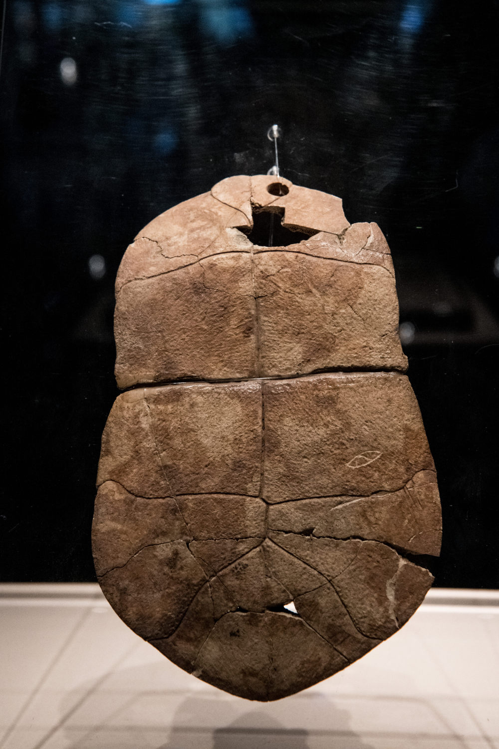 新华社记者唐文豪摄来自甘肃省镇原县博物馆的镇馆之宝——秦二十六年