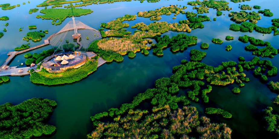 辣糊糊火热出圈宁夏文旅持续上分