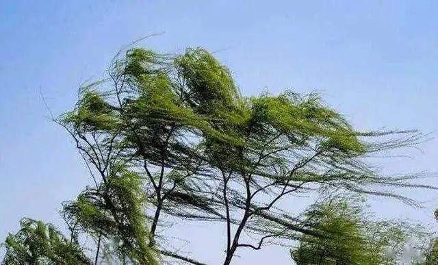 大风今夜来津明天天津气温回落这时有雨