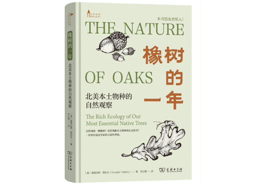 一棵橡树能给你的生活带来什么？来自北美学者的自然观察
