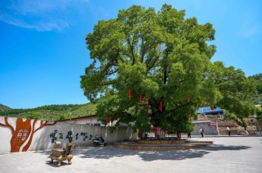 山西吉县黄河壶口瀑布东边,人祖山脚下,有一个千年古村落—太度村.