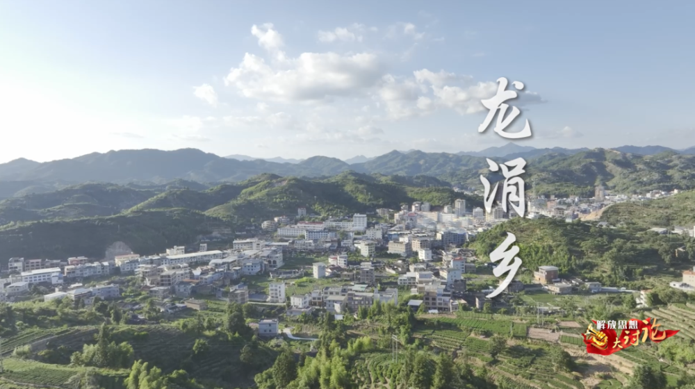 安溪县幅员最辽阔的乡镇也是安溪铁观音的主产区之一安溪县龙涓乡乡长