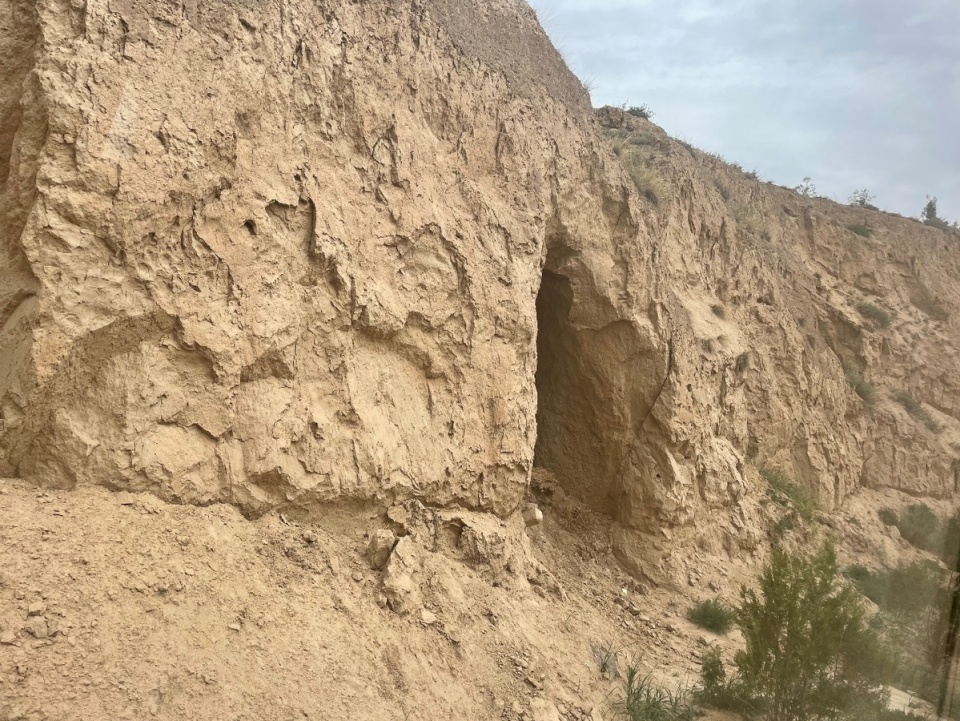 【甘快看61我们的家园 幸福美好新甘肃】黄土山上的绿色奇迹