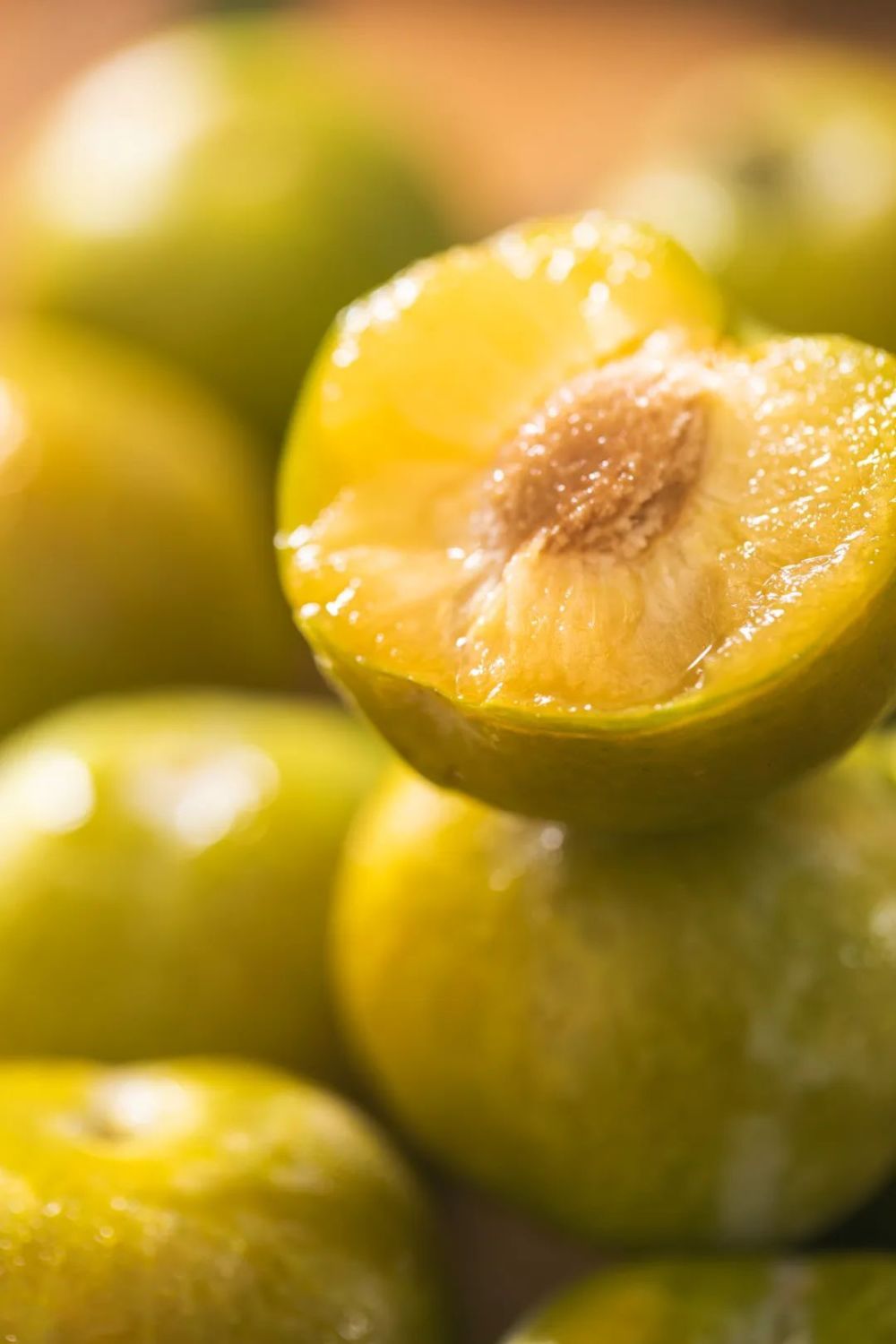 贵州蜂糖李凭啥是李子界天花板