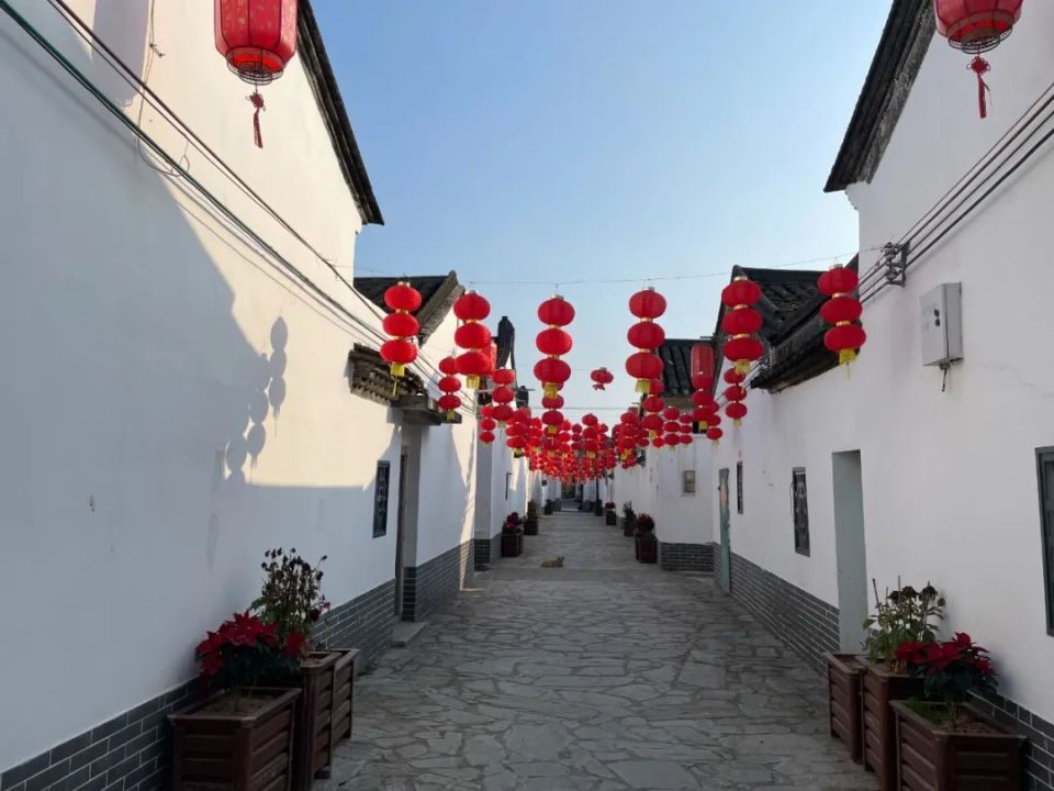 【百千万典型村】惠东吉隆镇平政村:强基础·重治理·深发展_腾讯新闻