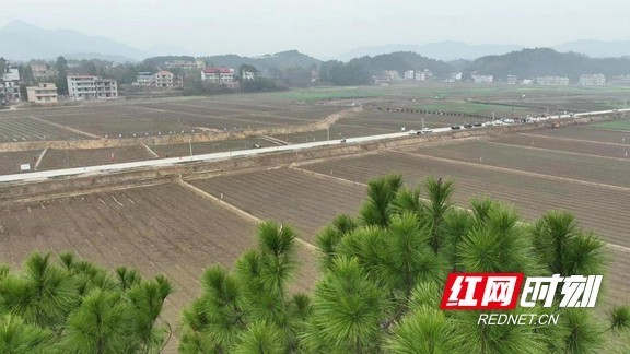 衡阳县大安乡党委书记唐宏羽正在吕少友家调研早稻生产工作.