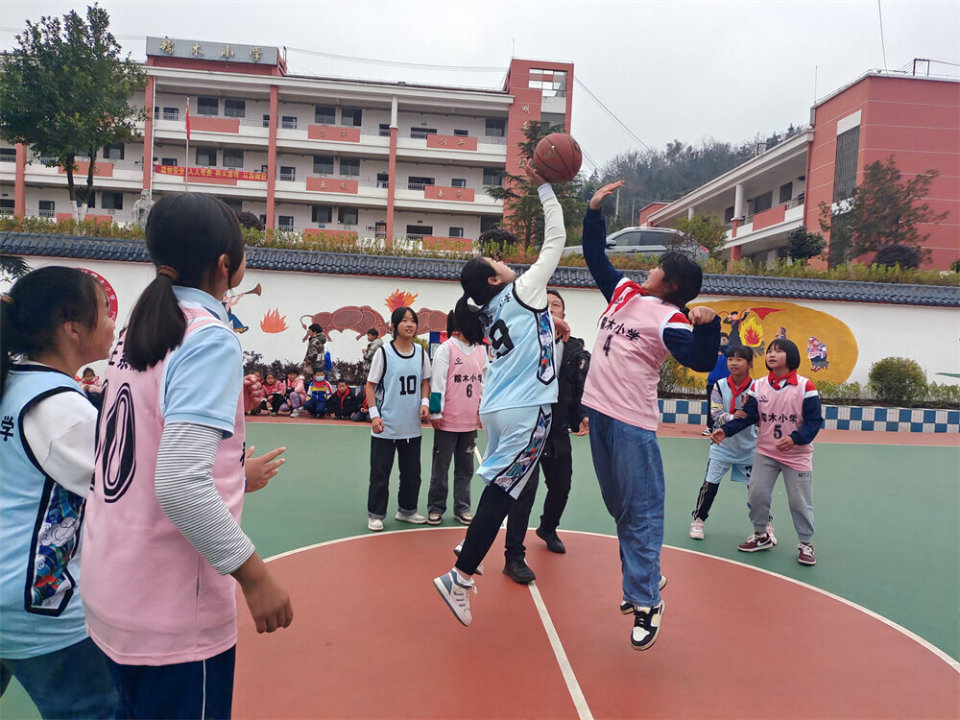 如今,竹园镇糯木小学,禾木小学,乐乌小学,竹园中学,竹园小学,竹园二小