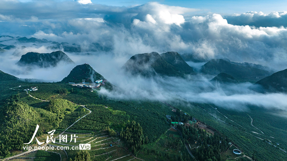 近年来,西畴县大力推进生态文明建设,在石漠化山区建成国家石漠公园