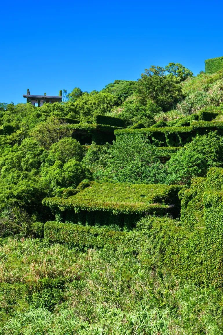 热播剧同款治愈系风景就在这里,半边山半边海,堪称海上阿勒泰!