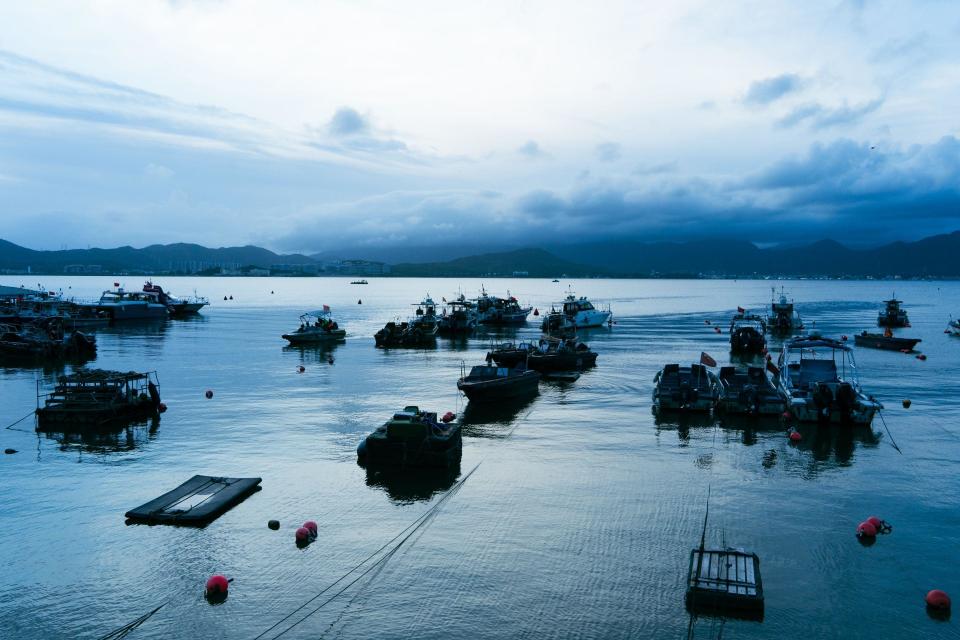大鹏半岛海堤受损严重,存在防御能力不足,沿线生态环境退化,环境杂乱