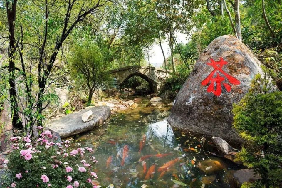 【遇见春茶】高鼎茶庄园:享受美景与香茗的双重治愈