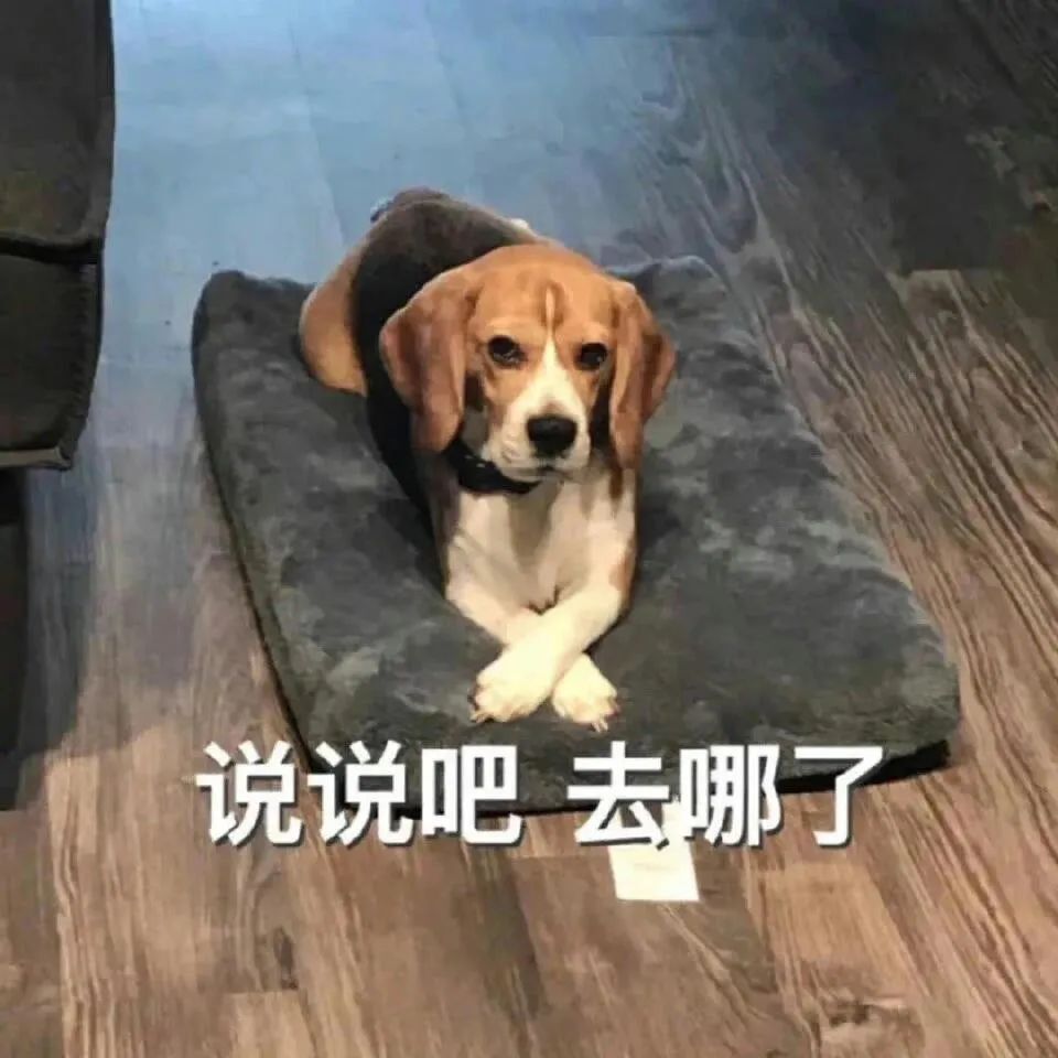 亲爱的水友们,大家晚上好啊,今天马宝想跟大家说的人物就是萌七,大家