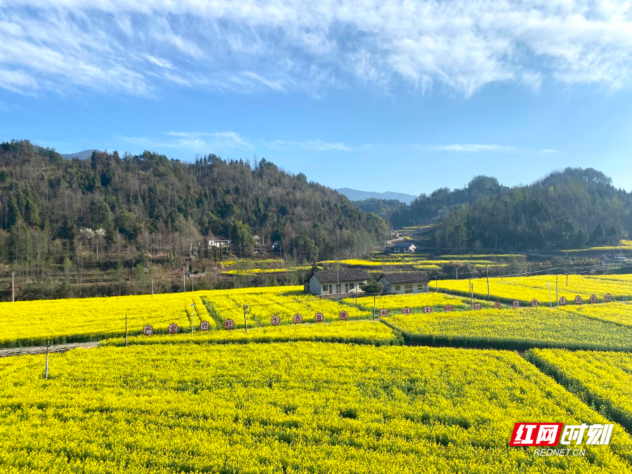 桑植县瑞塔铺镇:理顺四个关系,抓好四项工作,做到四个提升,抓实抓细驻
