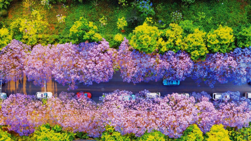 一城一攻略玩转云南——春城昆明