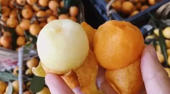 杭州这方水土满是传奇,养出了最甜的果子