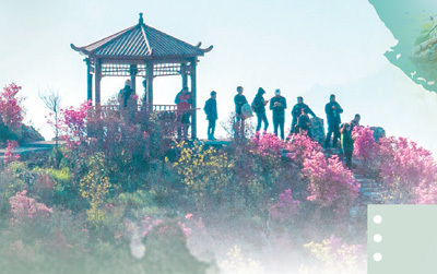 浙江省湖州市南浔区和孚镇,村民在桑基鱼塘边采摘桑叶.