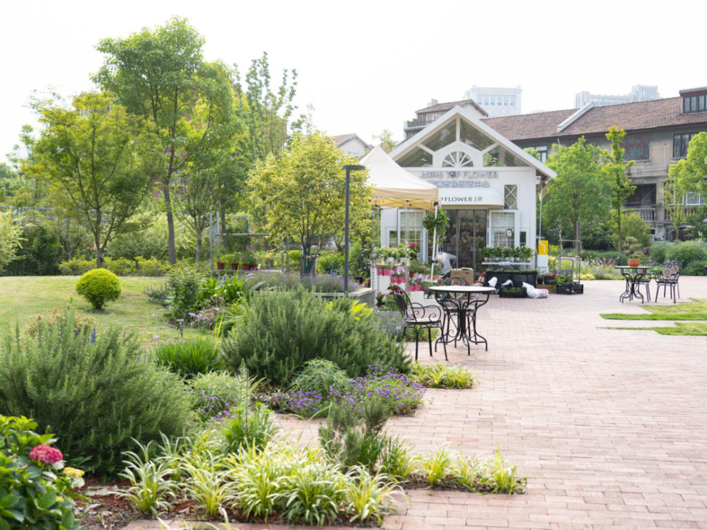 见缝插绿建设复兴中路中隔带"花岛""光音花园""追梦园""香山丽舍"小