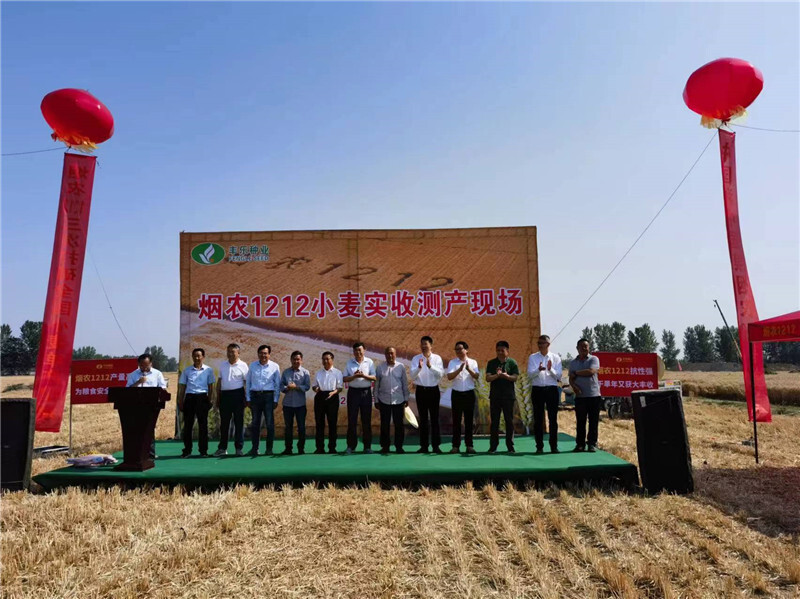 丰乐种业"烟农1212"小麦测产达865.83公斤