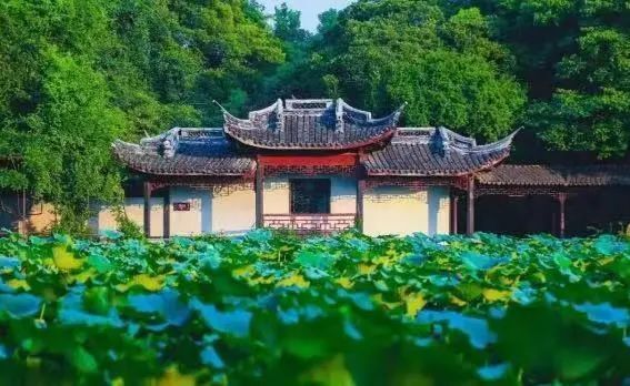 【关注】沿线设8座车站,沪苏湖高铁周边可打卡这些景区!