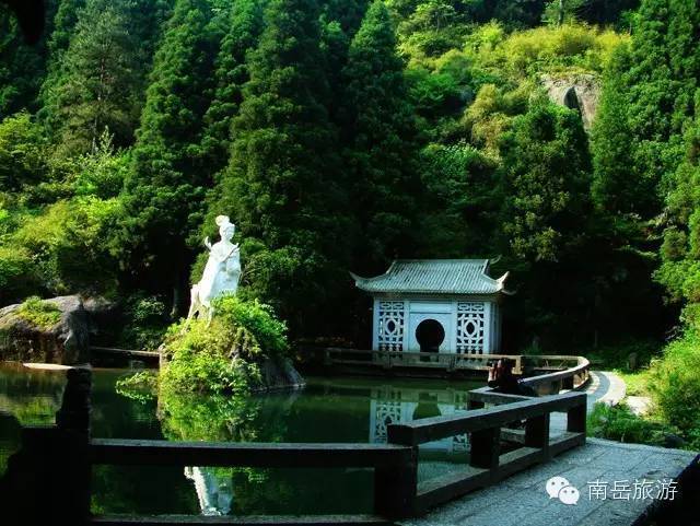 上央视了!夏天来南岳打卡必刷的8大"绿巨人"npc