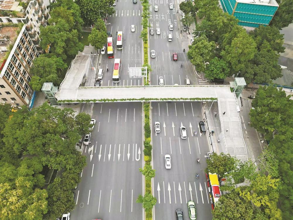 广州大道架天桥加电梯无障碍过街缓解拥堵方便行人
