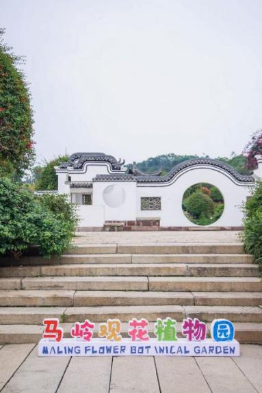 "幸福百千万 共话新花城"2024年网络大v行活动顺利举办