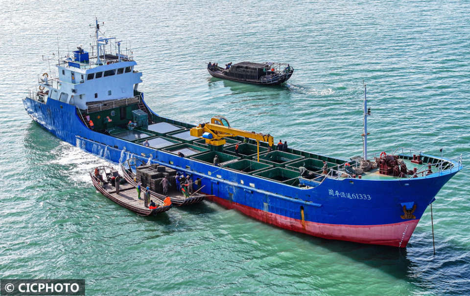 山东荣成:鲍鱼北上"回家"忙