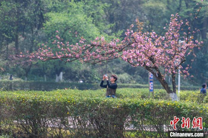 贵州贵阳:长坡岭国家森林公园春意盎然 市民乐享周末_腾讯新闻