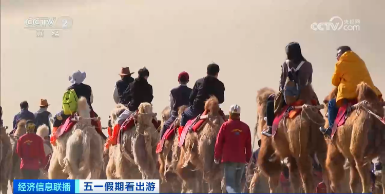 甘肃敦煌的景区里“堵骆驼”了，还有专门为骆驼规划的红绿灯