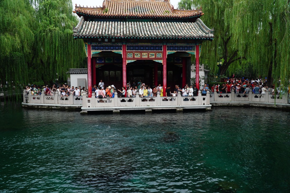 夏日趵突泉泉水欢涌游人如织