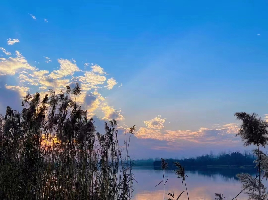 河南潢川邂逅冬日美拉德