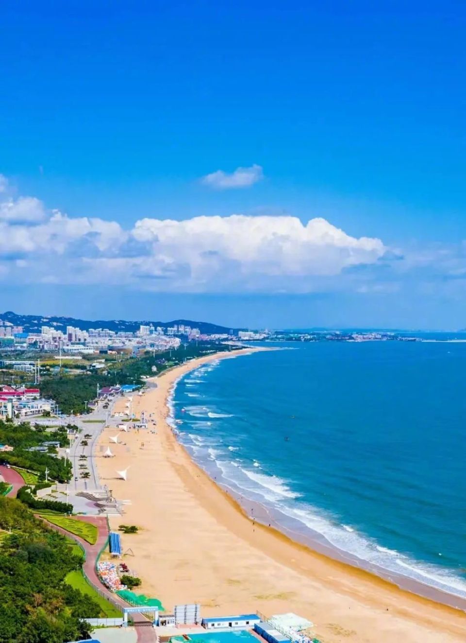 全部开放!hey～洗海澡吗?来沙滩偶遇"巧克力大爷"