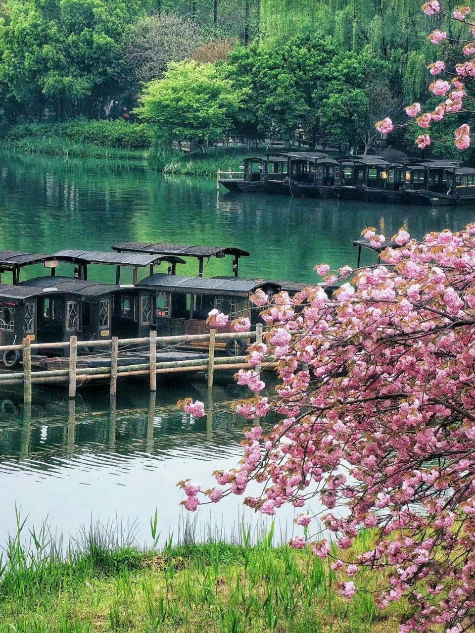 一下雨,浙江就成了诗里的江南!这六个别有意境的目的地,雨天照样嗨玩!
