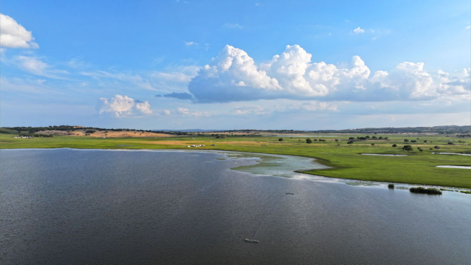 浑善达克:治沙见成效 沙地披绿装-腾讯新闻