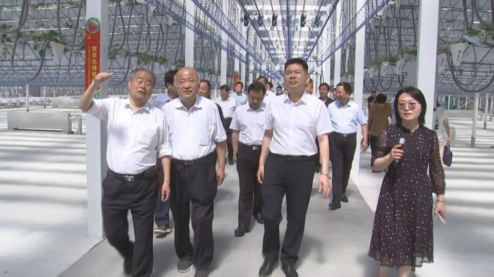 聊城市推广"信发模式"促进聊城品牌建设工作会议在茌平召开