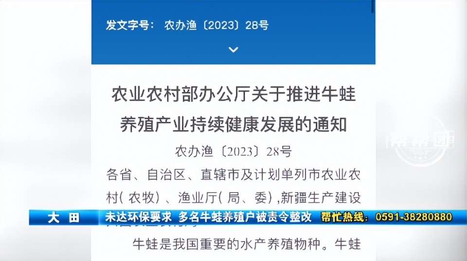 2022牛蛙禁止养殖省份图片