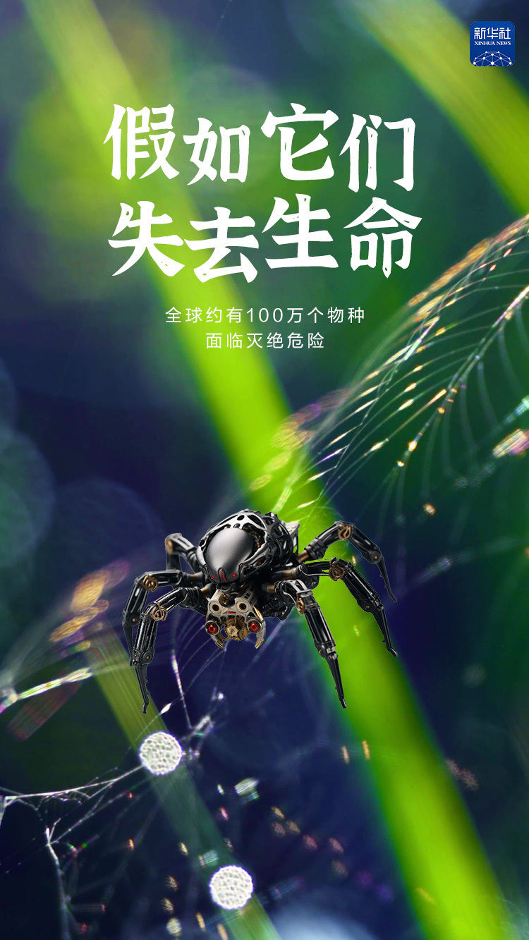 创意海报|假如它们失去生命