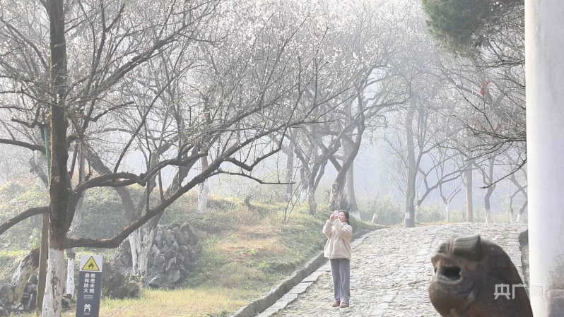 發 蒙在旺 攝)近年來,大餘縣依託梅關千年古驛道的歷史底蘊和生態資源