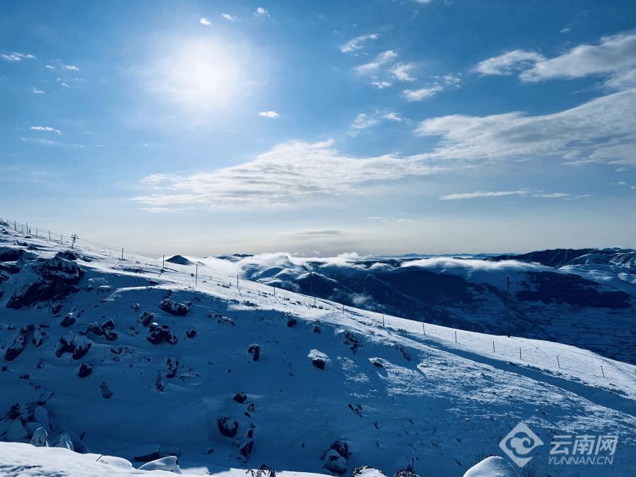 圖集雲南永善雲上馬楠春雪如畫