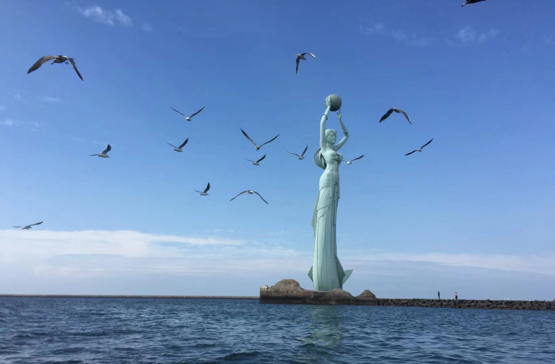 海洋科普|"海洋猎豹"如何成为胶东半岛的宝藏美食?