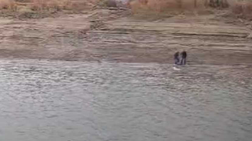 清晨长江上，三名水上环卫工救起一名年轻女子