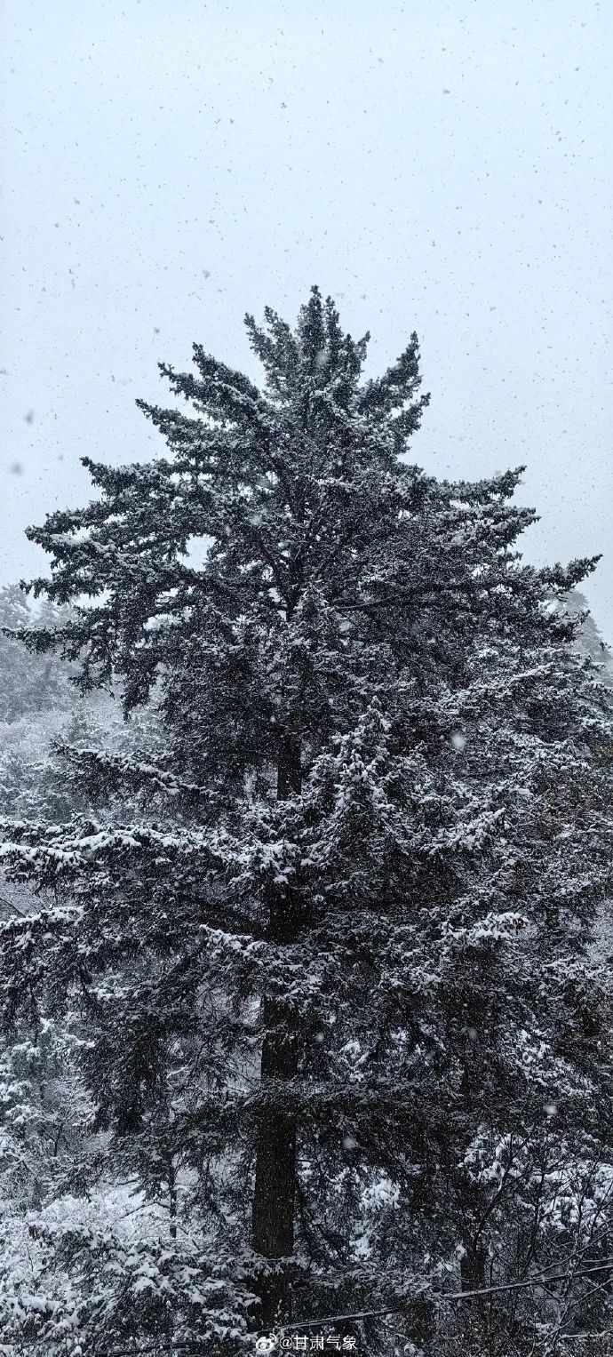 雪落山间,天地一色一起感受雪后的榆中兴隆山更是美不胜收
