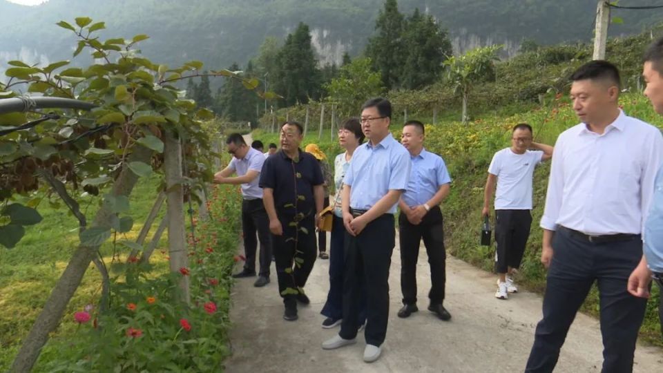 农工党新疆区委会到大方县开展定点帮扶活动_腾讯新闻