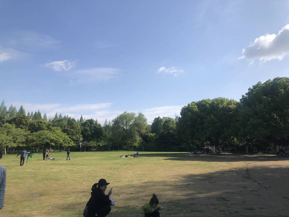 合肥杏花公园大草坪封闭多日记者探访系草坪轮休园林部门回应