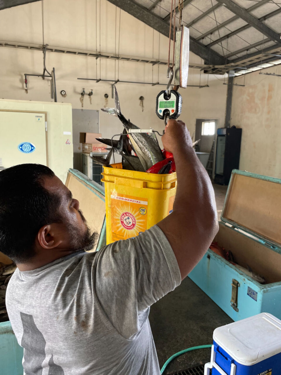 45千克)计价,而不是把金枪鱼,苏眉鱼等名贵品种挑出来.